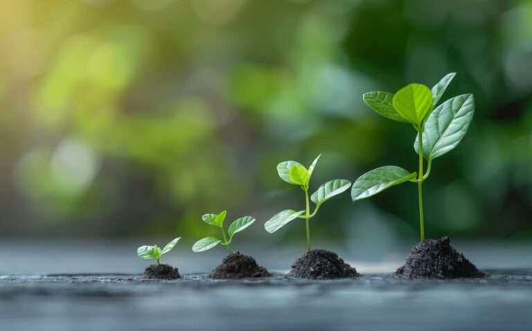 Why Progress Matters More Than Perfection When Building a Purposeful and Fulfilling Life